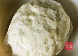 猪肉、海虾、青椒馅饺子的做法图解2