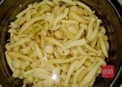 凉拌白玉菇的做法图解3