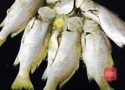 香煎白肚石头斑的做法图解6
