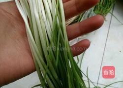 自制凉拌野蒜的做法图解1