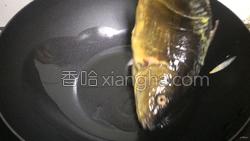 鲤鱼豆腐的做法图解4