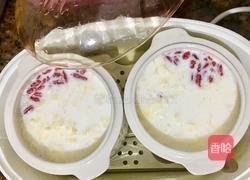 雪燕桃胶炖牛奶的做法图解5