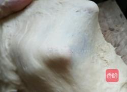 无油南瓜小餐包的做法图解9