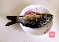 产妇鲫鱼汤的做法图解1