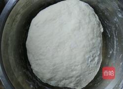 葱香肉包的做法图解4