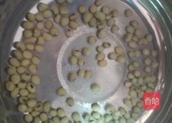 冬瓜黄豆排骨汤的做法图解3