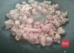 仔姜烧鸭的做法图解6