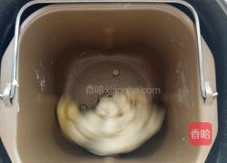 低脂无糖奶盐苏打饼干(30个左右)的做法图解2