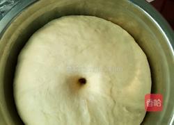 低脂无糖奶盐苏打饼干(30个左右)的做法图解4