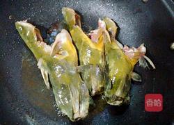 黄骨鱼烧豆腐的做法图解3