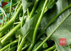 空心菜炒海带丝的做法图解2