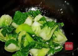 蒜蓉扒油菜的做法图解5