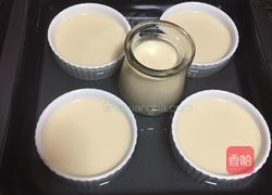 牛奶布丁的做法图解4