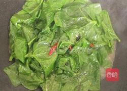 保炒木耳菜的做法图解4