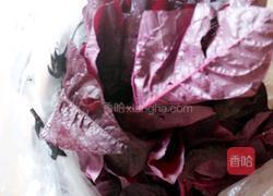 蒜蓉寒菜的做法图解2