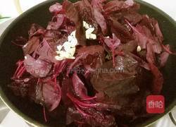 蒜蓉寒菜的做法图解5