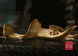 黄油煎松茸&云腿蒸松茸的做法图解4