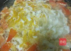 鸡蛋蕃茄刀削面的做法图解5