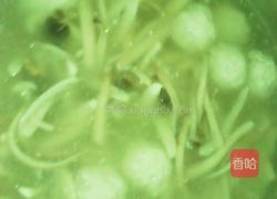 圆子茶树菇汤的做法图解7