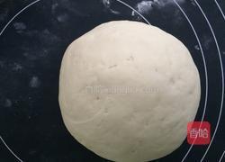 芥菜肉丁包 中种发面法的做法图解1