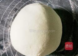 芥菜肉丁包 中种发面法的做法图解2