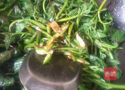 爆炒红薯叶尖的做法图解6