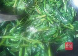 爆炒红薯叶尖的做法图解7