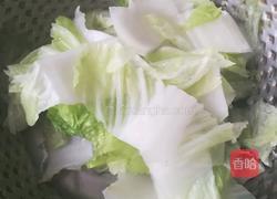 白菜炖豆腐的做法图解3