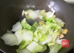 白菜炖豆腐的做法图解8