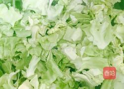 耗油手撕包菜的做法图解3