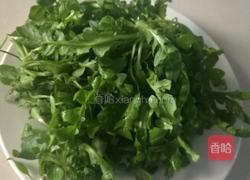 荠菜馄饨的做法图解2