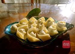 荠菜馄饨的做法图解11