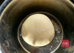 虾皮鸡蛋包菜饺子的做法图解3