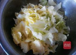 蚝油手撕包菜的做法图解1