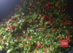 南瓜辣椒饼的做法图解2