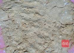 双色驴打滚的做法图解2