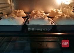 全麦面包的做法图解8