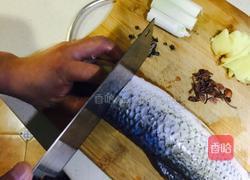 家常炖鱼的做法图解2