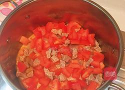 番茄土豆焖牛肉的做法图解3