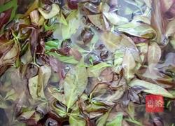 凉拌刺五加的做法图解1