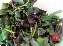 凉拌刺五加的做法图解2