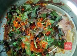 凉拌刺五加的做法图解4