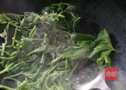 蒜蓉南瓜叶的做法图解4