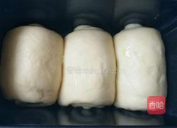 提子土司的做法图解5