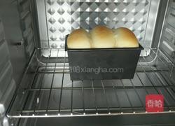 提子土司的做法图解7