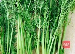 茴香大馅饺的做法图解1