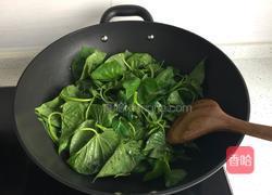 蒜蓉红薯叶的做法图解4