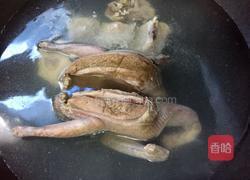 松茸炖鸽子汤的做法图解6