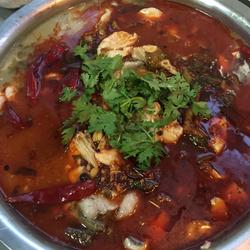 酸菜鱼的做法[图]