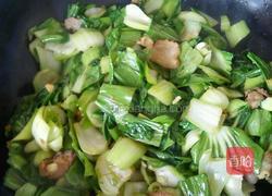 豆泡油菜的做法图解6